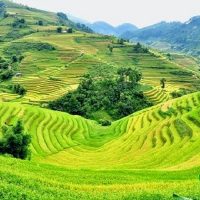 Tour Hà Giang 5 ngày 4 đem