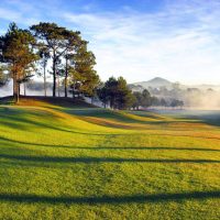 Tour Đà Lạt 2 ngày 1 đêm